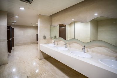 Luxury Bathroom with Digital Controls